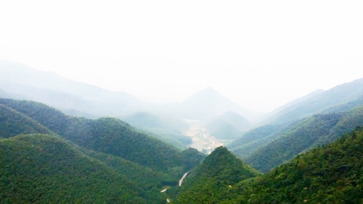 心懷赤誠，譜寫光輝業(yè)績